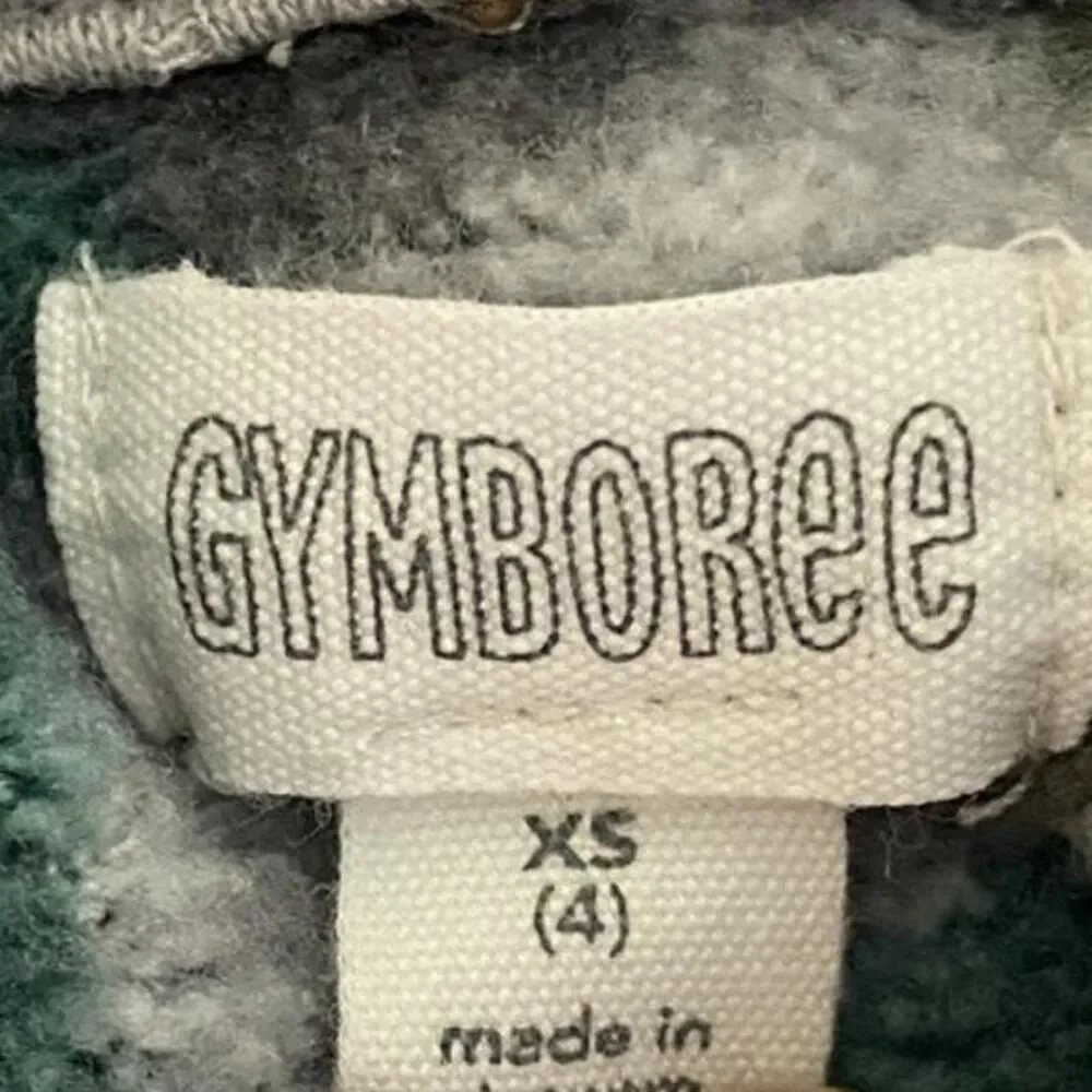 Gymboree sweater boys